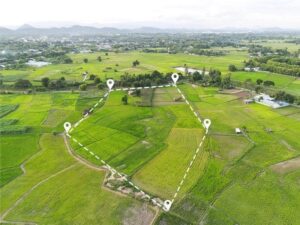 Land survey showing property boundaries for two adjacent lots being combined in West Palm Beach Florida. 